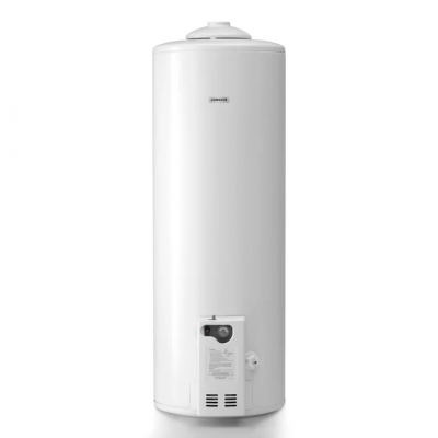 TERMOTANQUE LONGVIE 110L