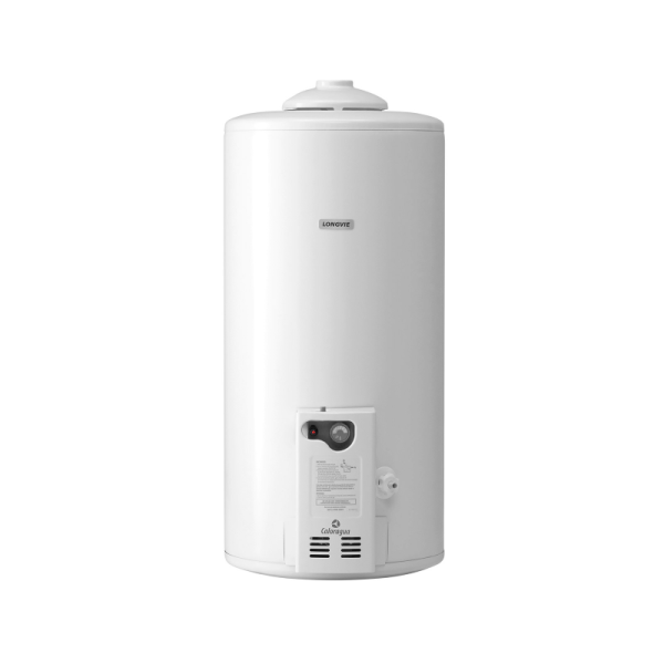 TERMOTANQUE LONGVIE 75L COLGAR